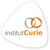 Institut Curie